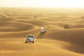 Dubai City & Desert Experience