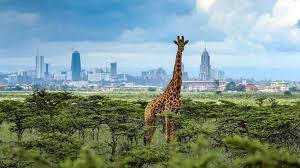 Nairobi National Park Day Trip